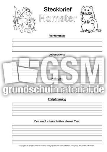 Hamster-Steckbriefvorlage-sw.pdf